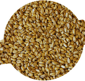 Weyermann Pale Wheat Malt